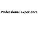Professional Experience